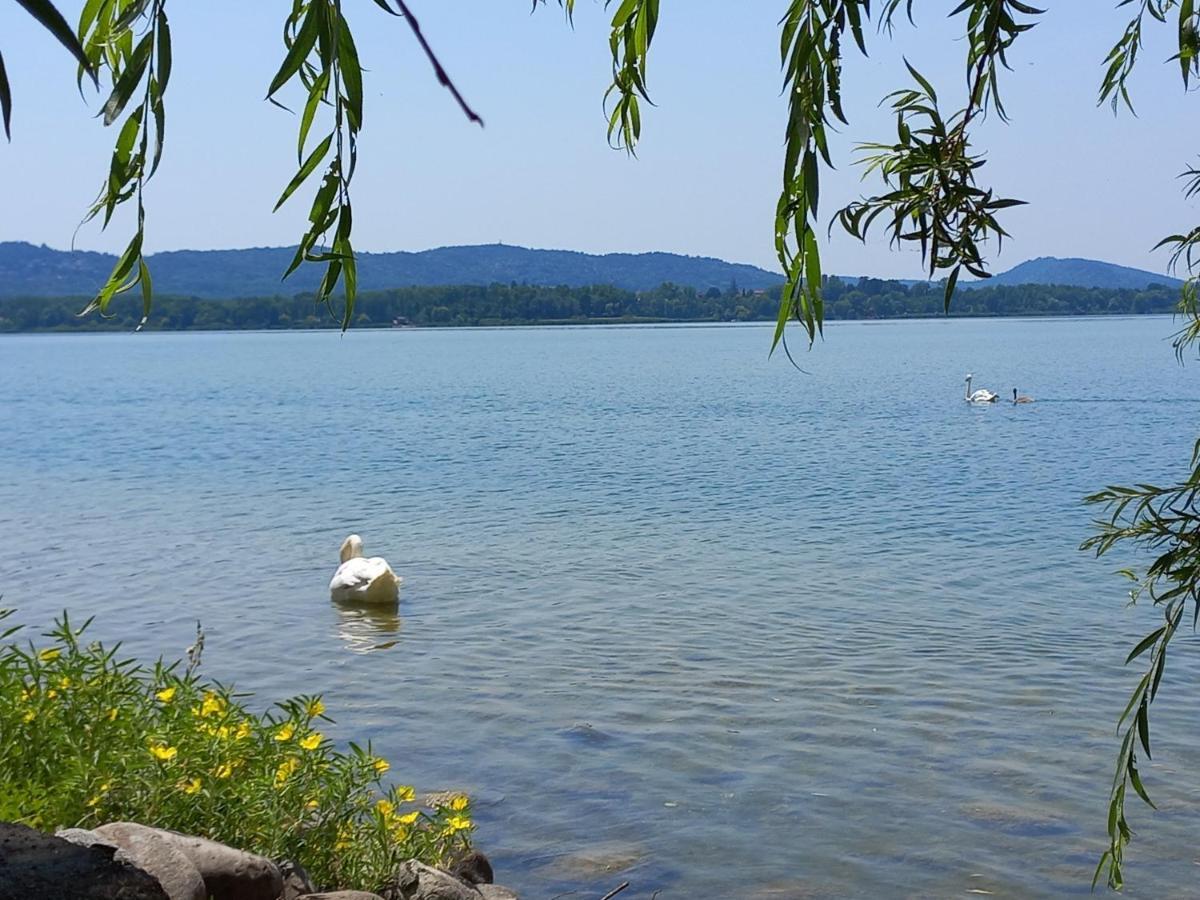 Appartamento Miralago Con Giardino Sul Lago Гавирате Екстериор снимка