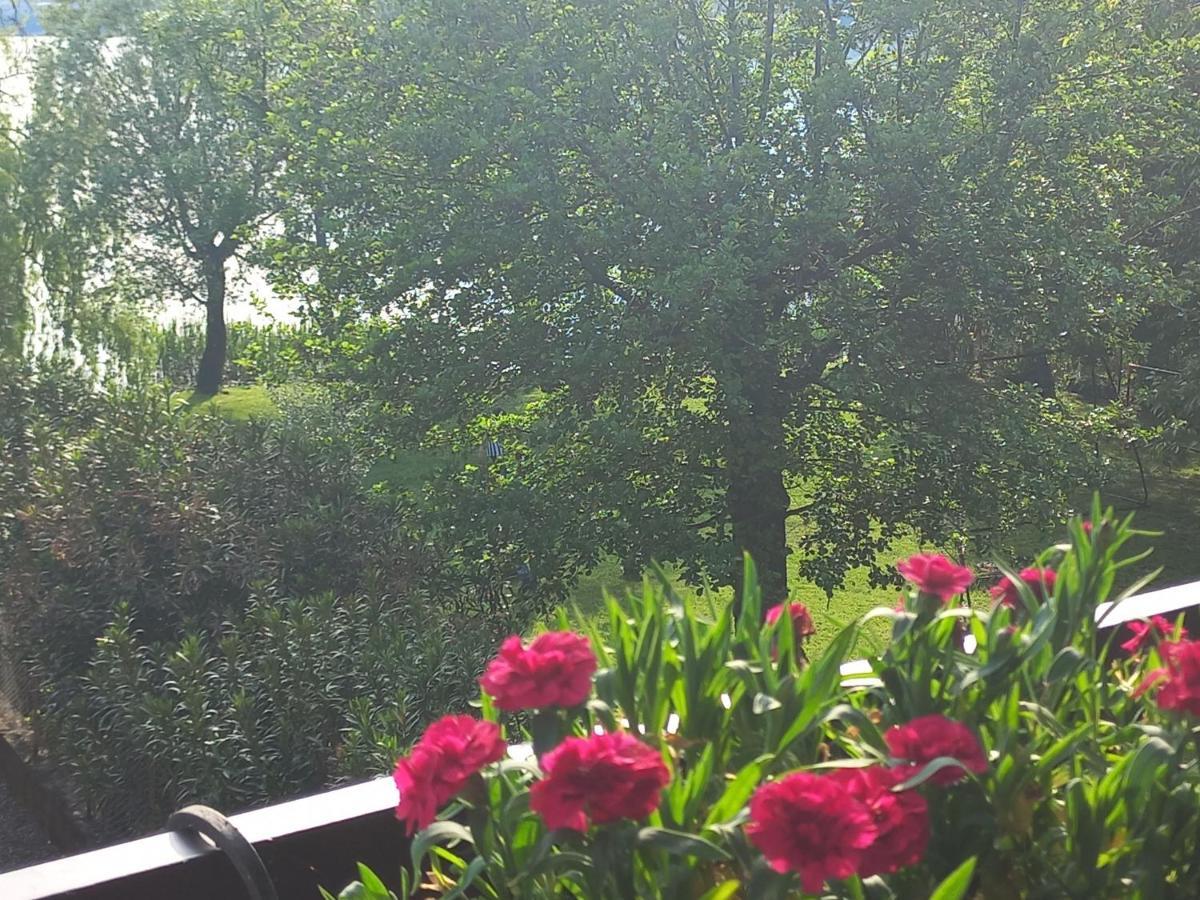 Appartamento Miralago Con Giardino Sul Lago Гавирате Екстериор снимка