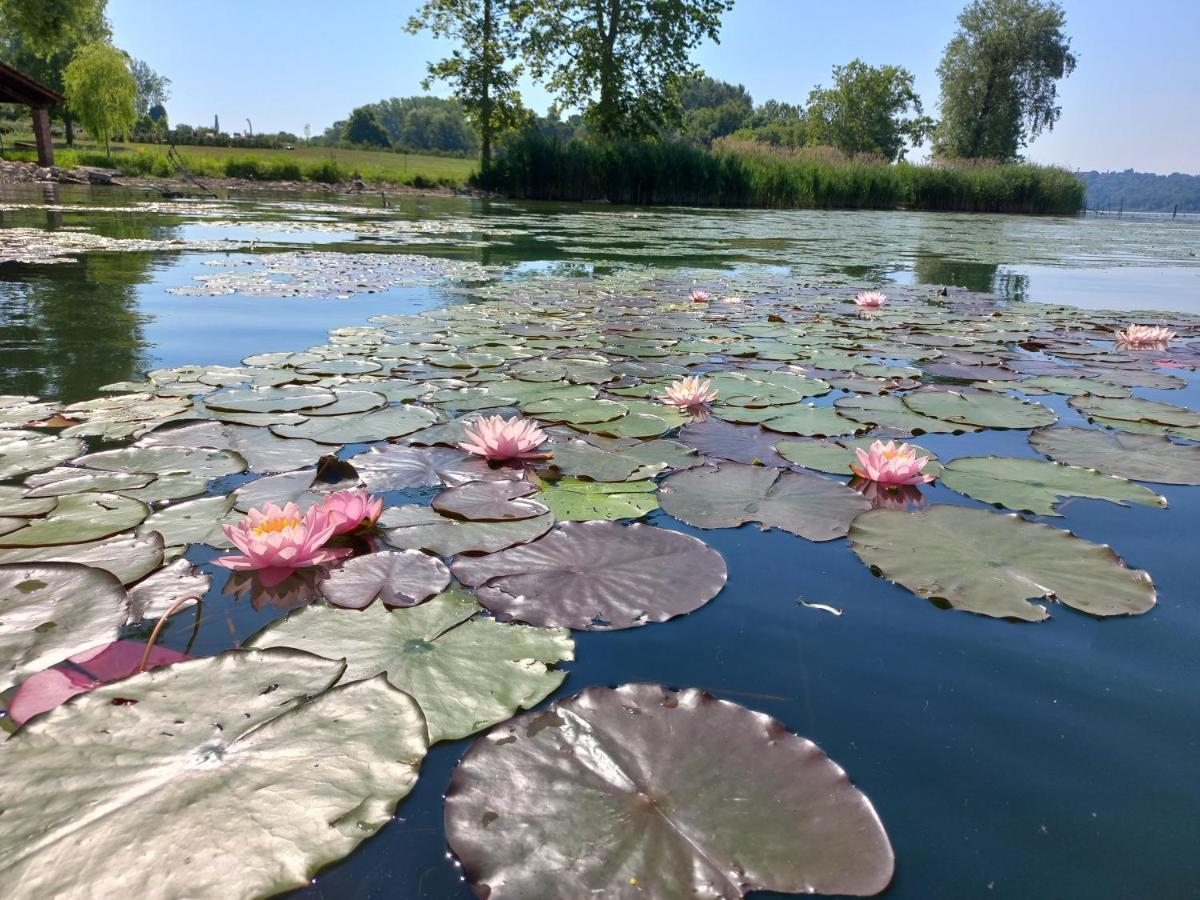 Appartamento Miralago Con Giardino Sul Lago Гавирате Екстериор снимка