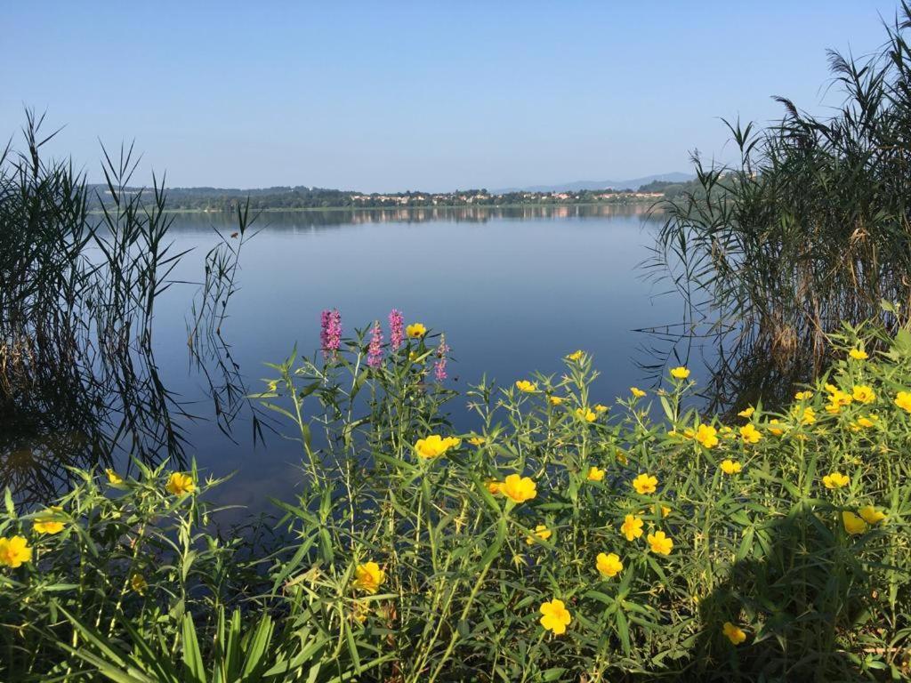 Appartamento Miralago Con Giardino Sul Lago Гавирате Екстериор снимка