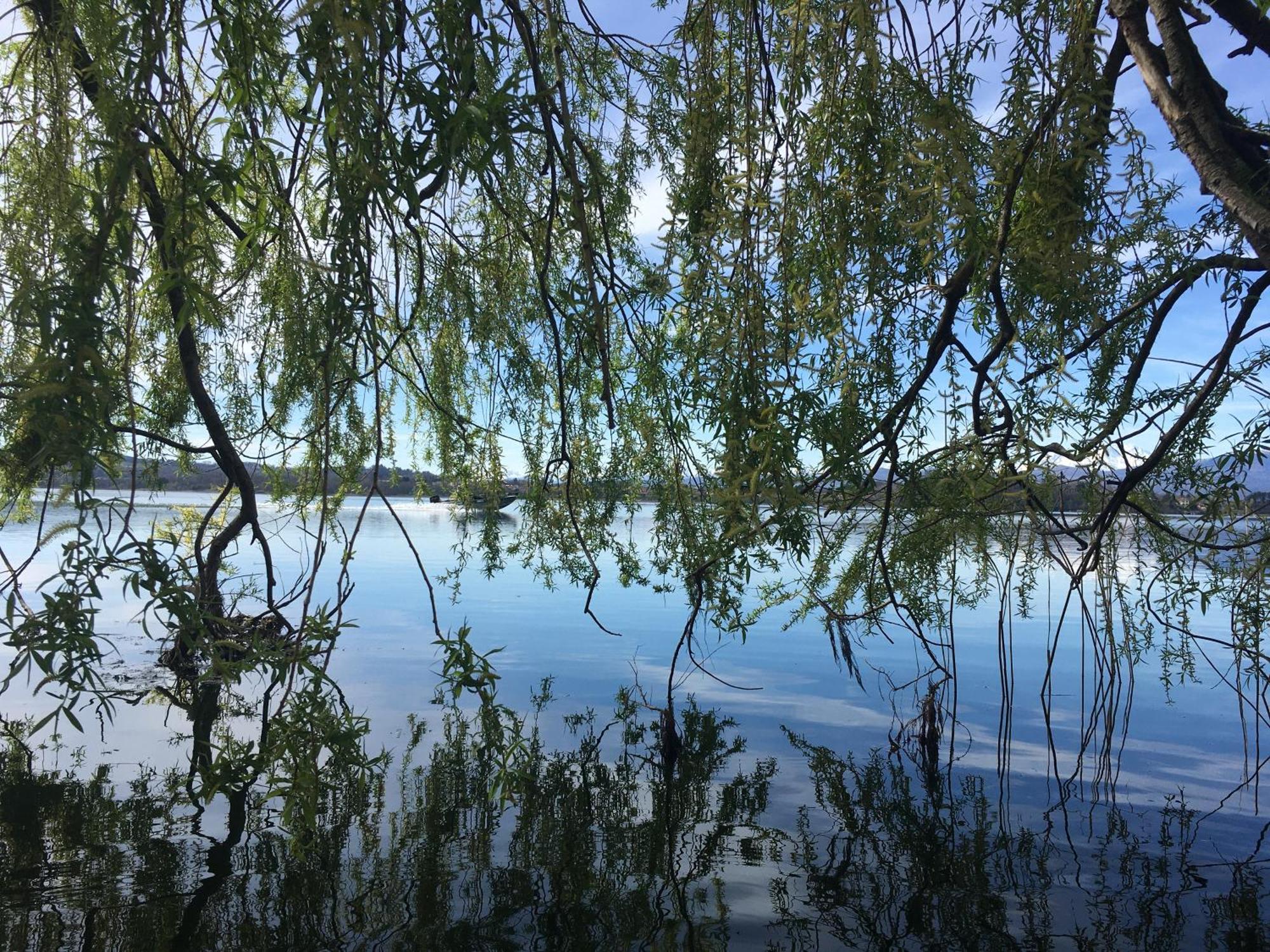 Appartamento Miralago Con Giardino Sul Lago Гавирате Екстериор снимка